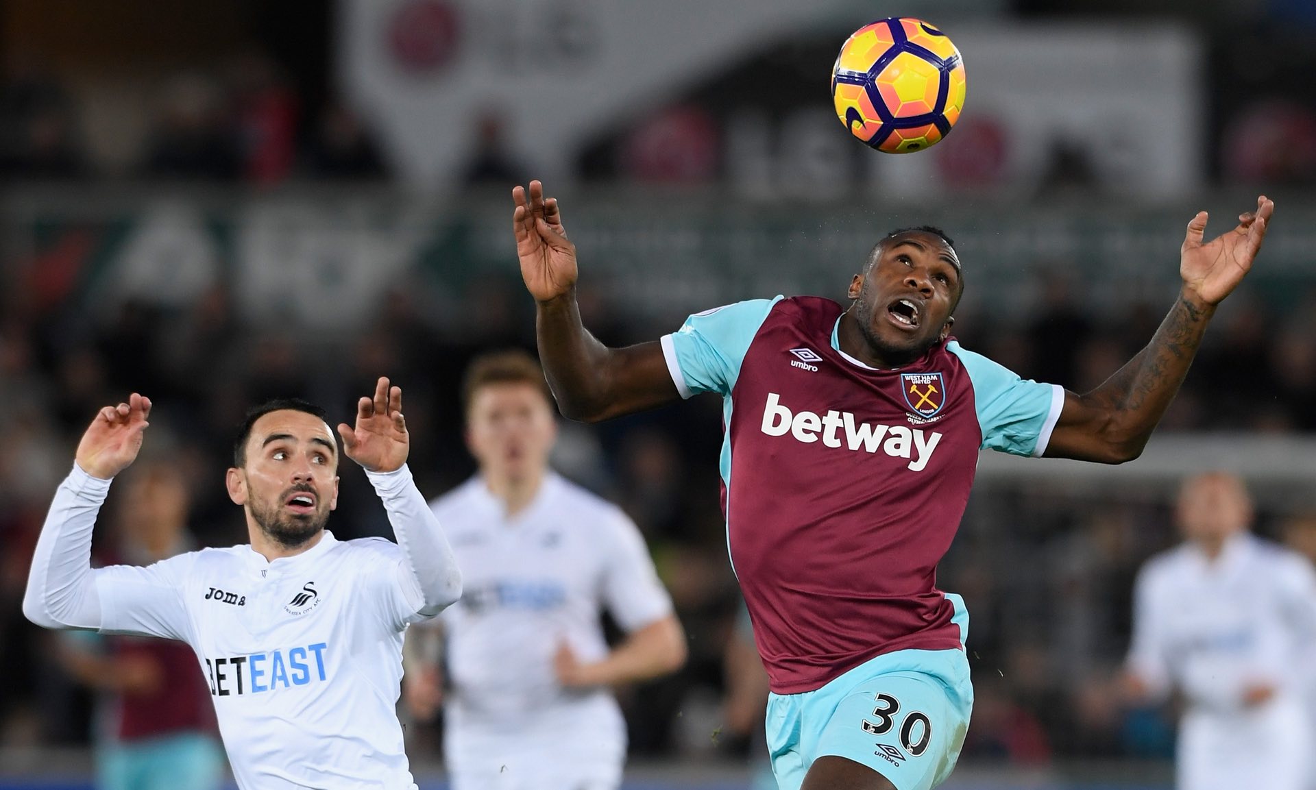 中国网球系 中国网球系