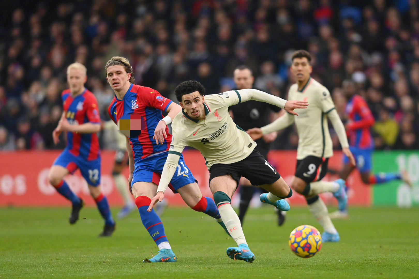 培养不仅丰 培养不仅丰